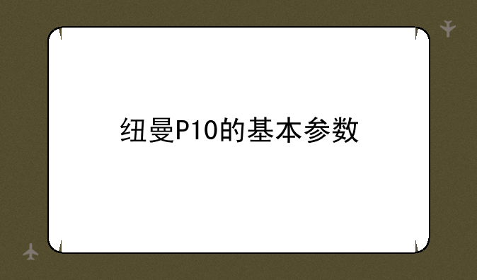 纽曼P10的基本参数