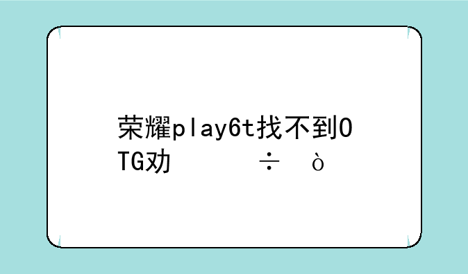 荣耀play6t找不到OTG功能？