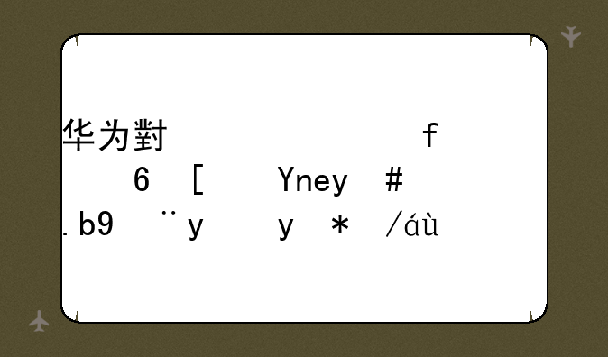 华为小精灵智慧屏屏幕怎么没法横过来