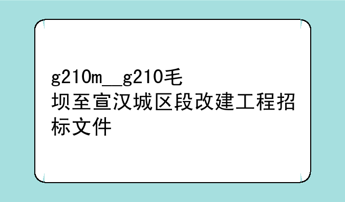g210m__g210毛坝至宣汉城区段改建工程招标文件