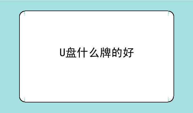 U盘什么牌的好