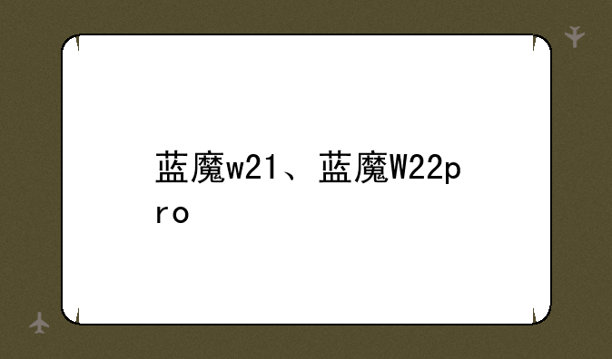 蓝魔w21、蓝魔W22pro