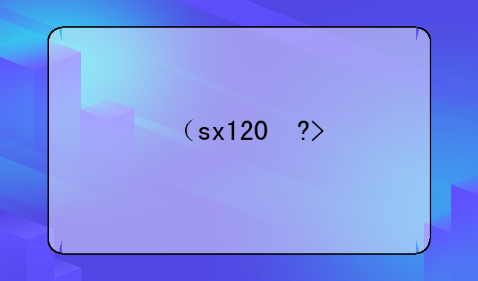 （sx120）SX1200DZH-8
