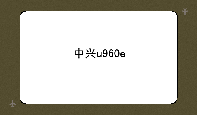 中兴u960e