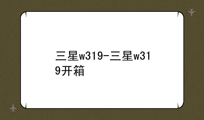 三星w319-三星w319开箱