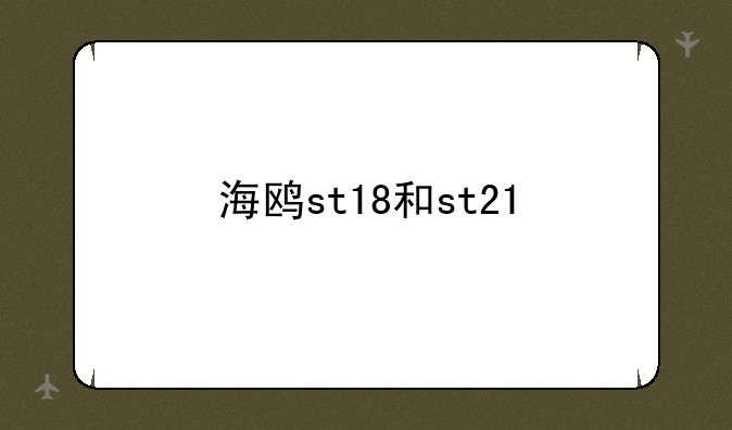 海鸥st18和st21