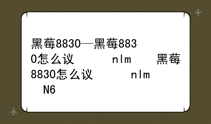 黑莓8830—黑莓8830怎么设置铃音