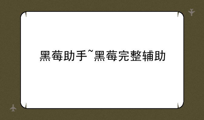 黑莓助手~黑莓完整辅助