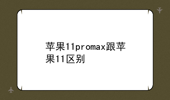 苹果11promax跟苹果11区别