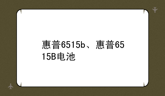 惠普6515b、惠普6515B电池