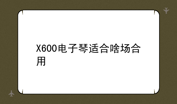 X600电子琴适合啥场合用