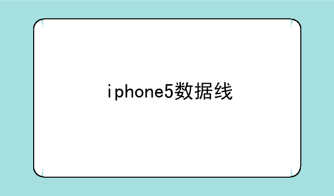 iphone5数据线
