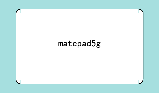 matepad5g
